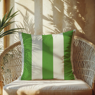 Custom Throw Pillow