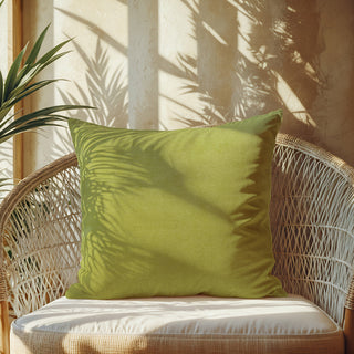 Custom Throw Pillow